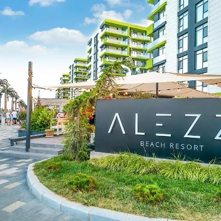 Alezzi Zen